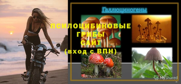jwh Арсеньев