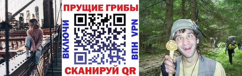 Псилоцибиновые грибы ЛСД  Петухово 